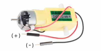 Motor Polarity