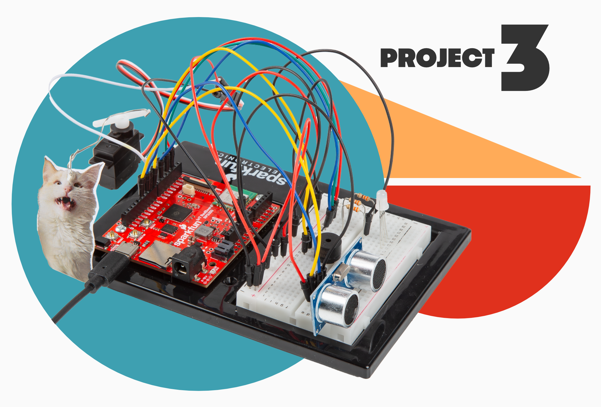 Project 3: Motion